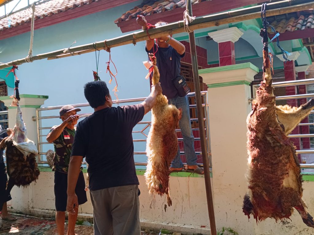 Warga Blok Bojong Desa Jatisawit Lor saat melakukan penyembelihan hewan qurban secara terpusat di masjid dengan suasana gotong royong.